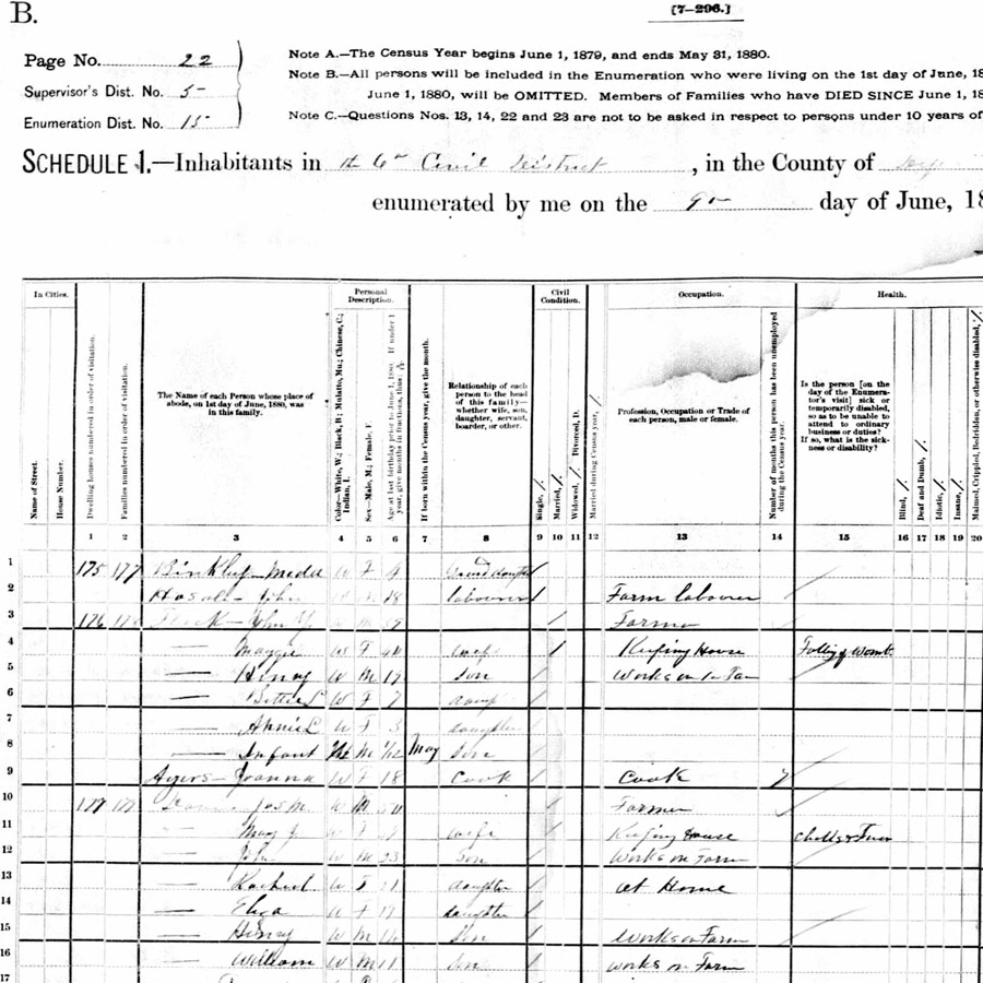 1880 Census Dyer TN